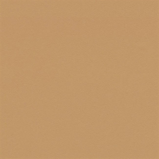 Linoléum sur mesure brun clair | 4002 Leather | Forbo Linoléum